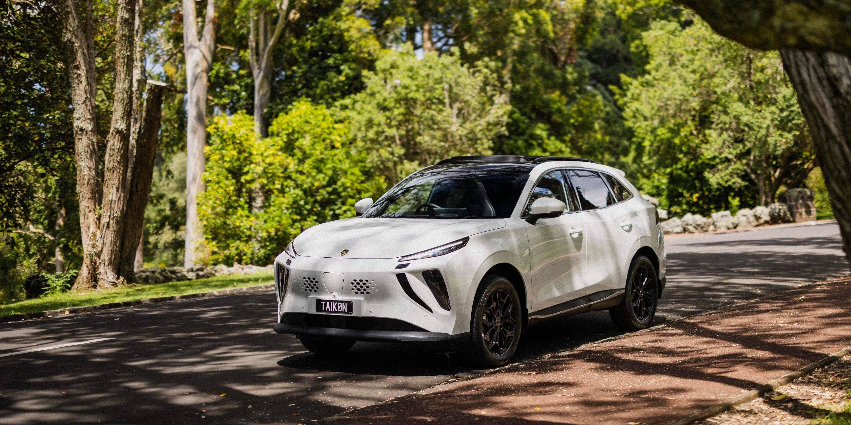 Super Hybrid Taikon Banner 2 (1)